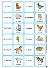 Memo-F Tiere-animal.pdf